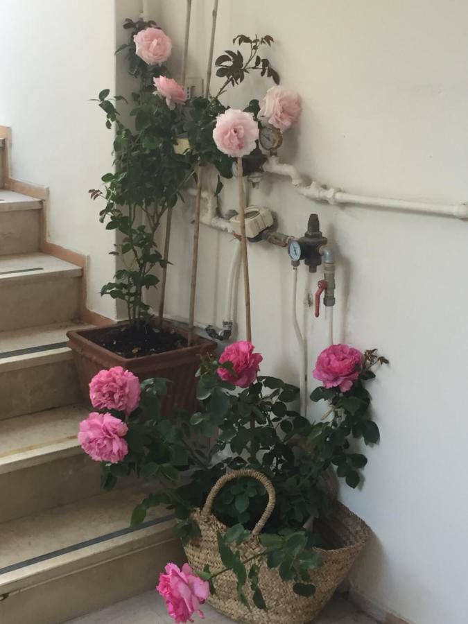 Villa La Quercia Meta Εξωτερικό φωτογραφία