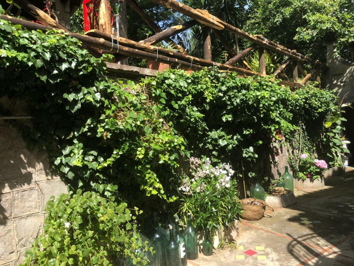 Villa La Quercia Meta Εξωτερικό φωτογραφία