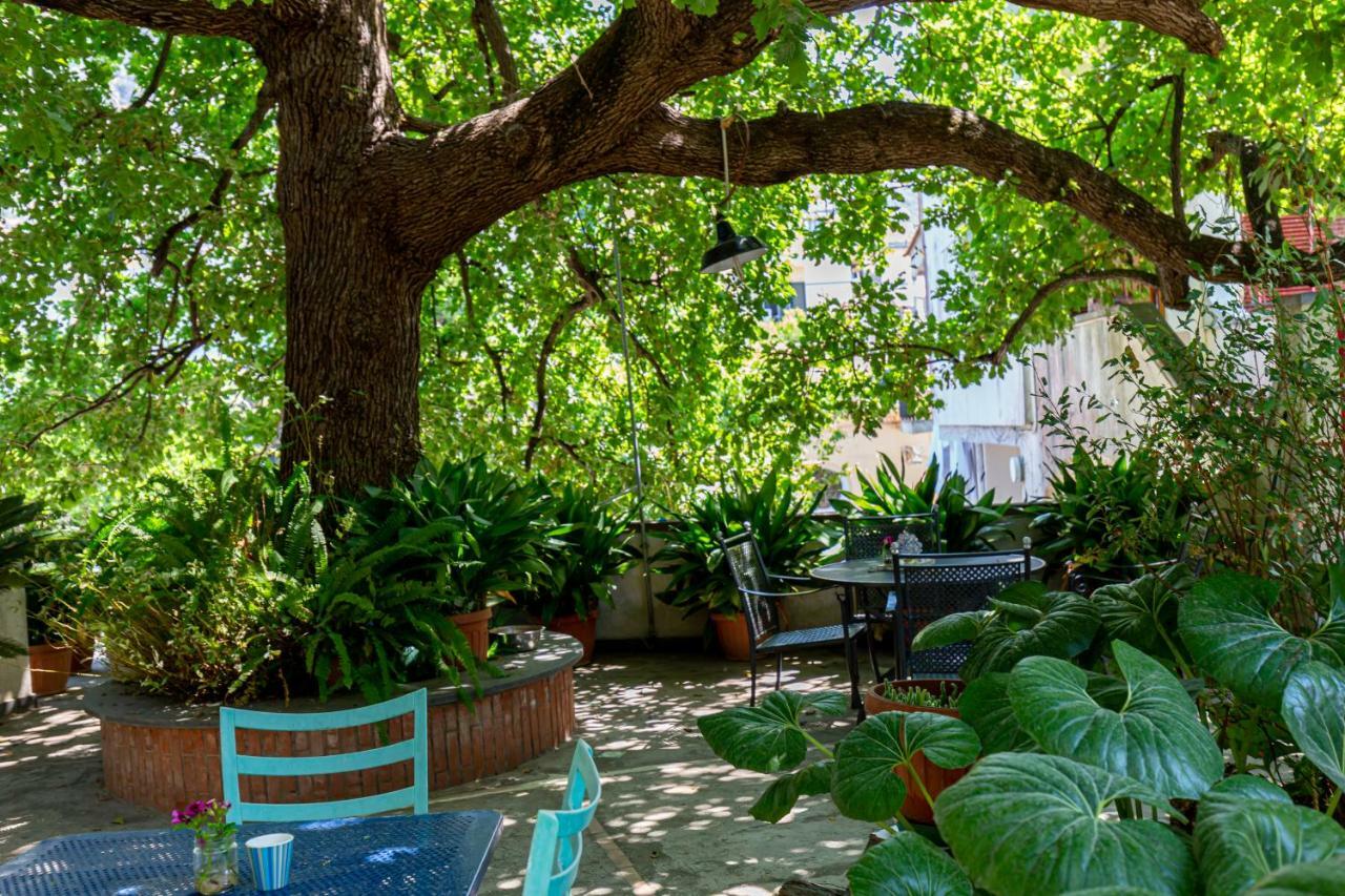 Villa La Quercia Meta Εξωτερικό φωτογραφία